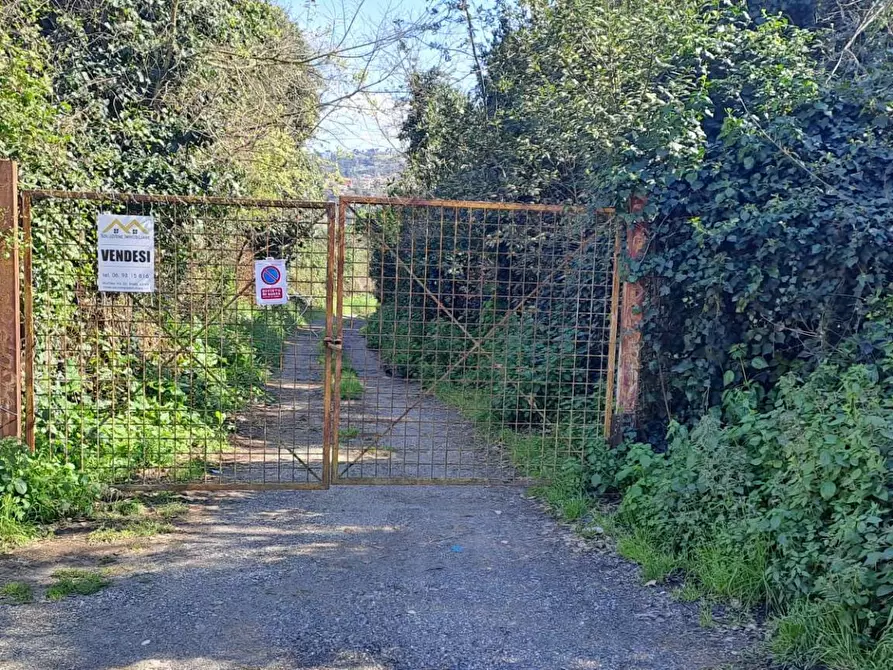 Immagine 3 di Terreno agricolo in vendita  in via del laghetto 1 a Castel Gandolfo