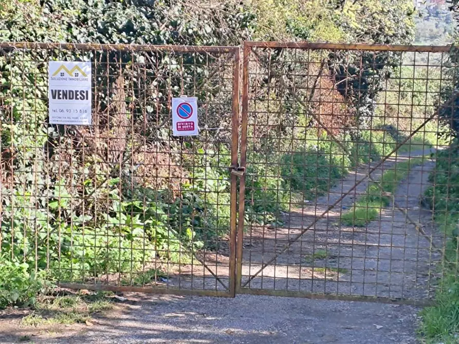 Immagine 4 di Terreno agricolo in vendita  in via del laghetto 1 a Castel Gandolfo