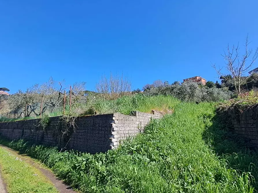 Immagine 6 di Terreno agricolo in vendita  in via del laghetto 1 a Castel Gandolfo