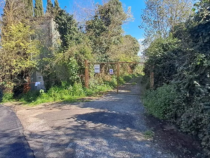 Immagine 7 di Terreno agricolo in vendita  in via del laghetto 1 a Castel Gandolfo