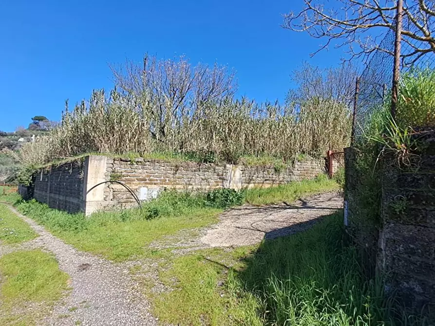 Immagine 9 di Terreno agricolo in vendita  in via del laghetto 1 a Castel Gandolfo