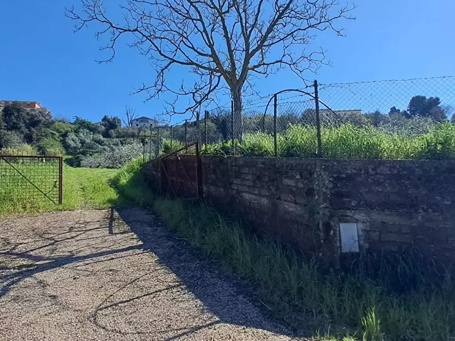 Immagine 11 di Terreno agricolo in vendita  in via del laghetto 1 a Castel Gandolfo