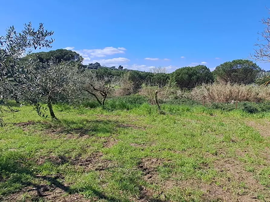 Immagine 15 di Terreno agricolo in vendita  in via del laghetto 1 a Castel Gandolfo