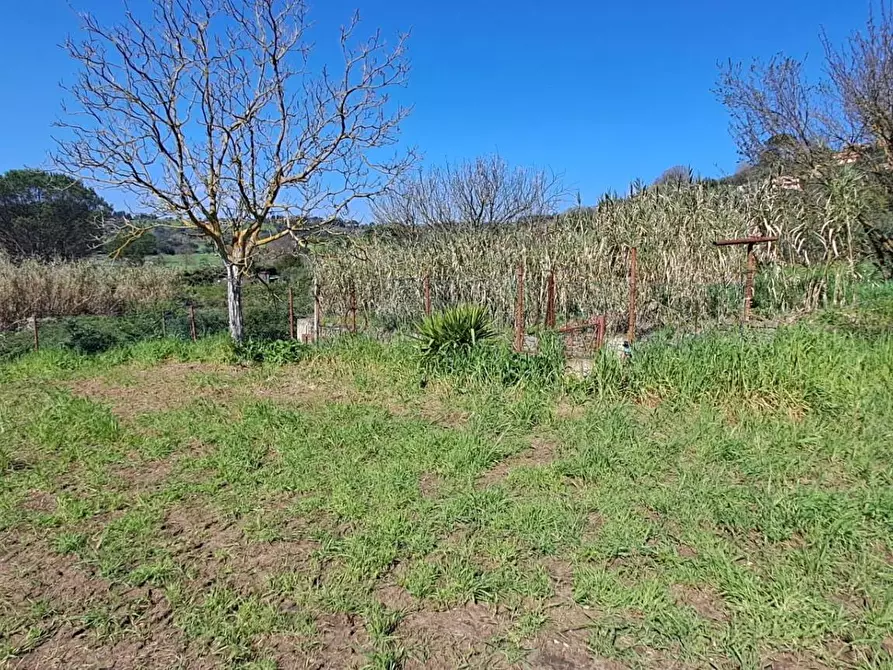 Immagine 16 di Terreno agricolo in vendita  in via del laghetto 1 a Castel Gandolfo