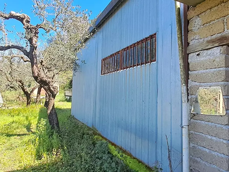 Immagine 17 di Terreno agricolo in vendita  in via del laghetto 1 a Castel Gandolfo