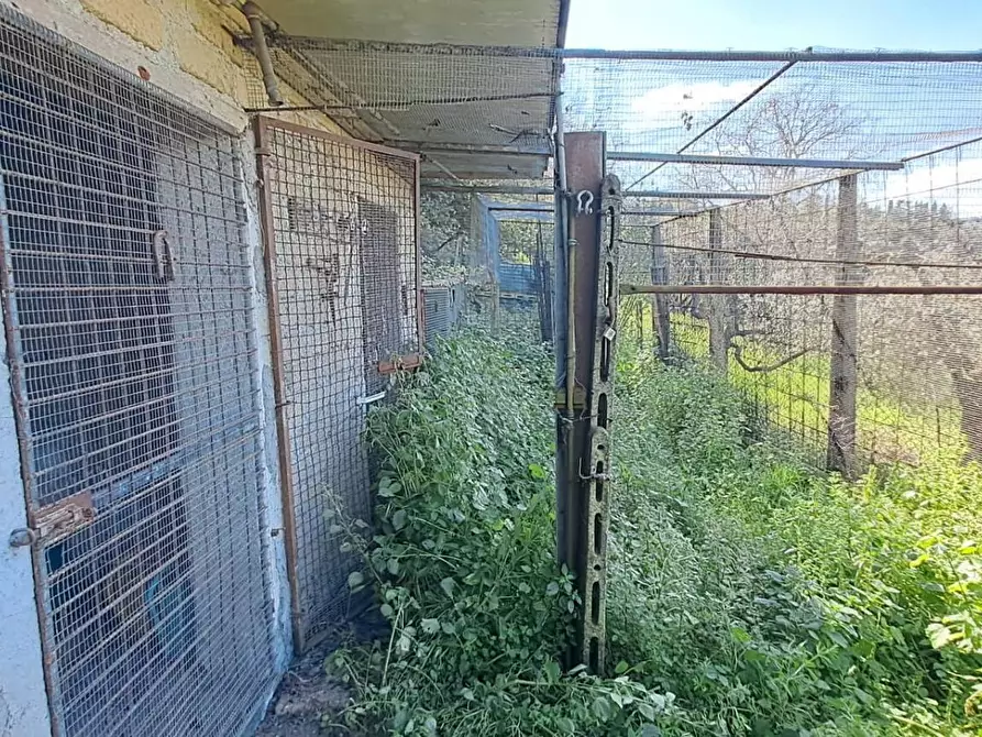 Immagine 19 di Terreno agricolo in vendita  in via del laghetto 1 a Castel Gandolfo