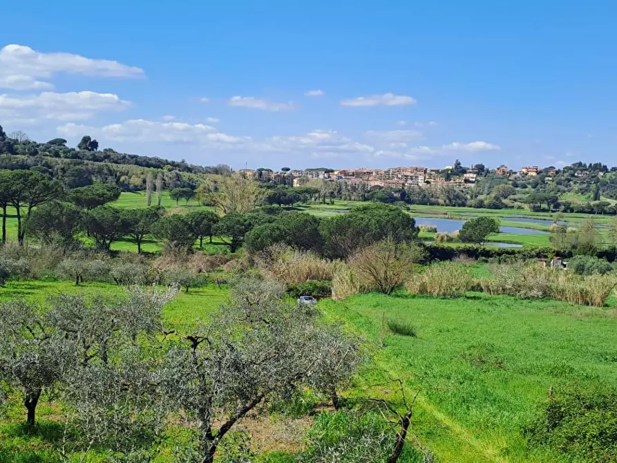 Immagine 21 di Terreno agricolo in vendita  in via del laghetto 1 a Castel Gandolfo