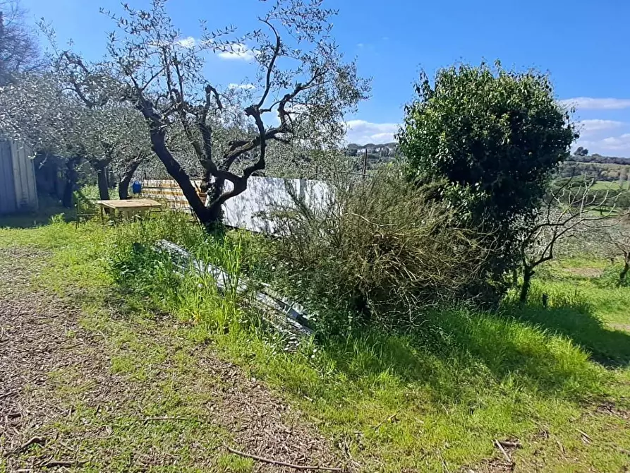 Immagine 25 di Terreno agricolo in vendita  in via del laghetto 1 a Castel Gandolfo