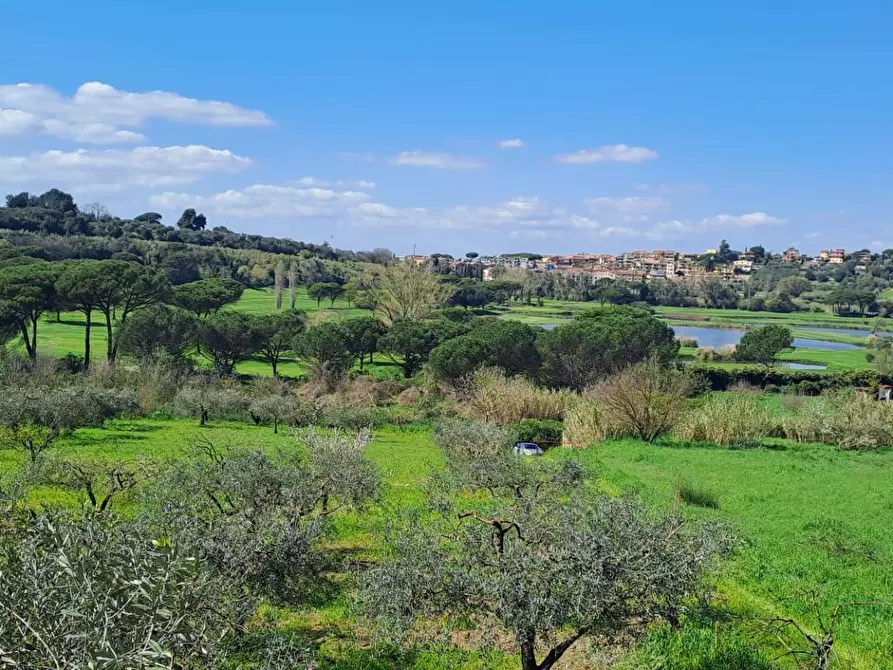 Immagine 26 di Terreno agricolo in vendita  in via del laghetto 1 a Castel Gandolfo