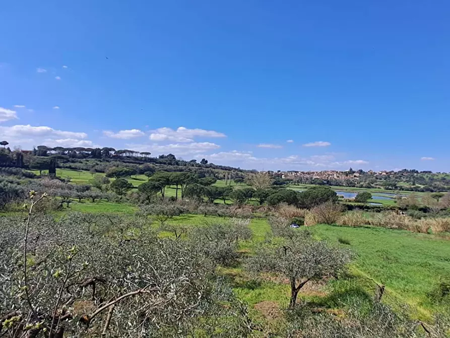 Immagine 27 di Terreno agricolo in vendita  in via del laghetto 1 a Castel Gandolfo