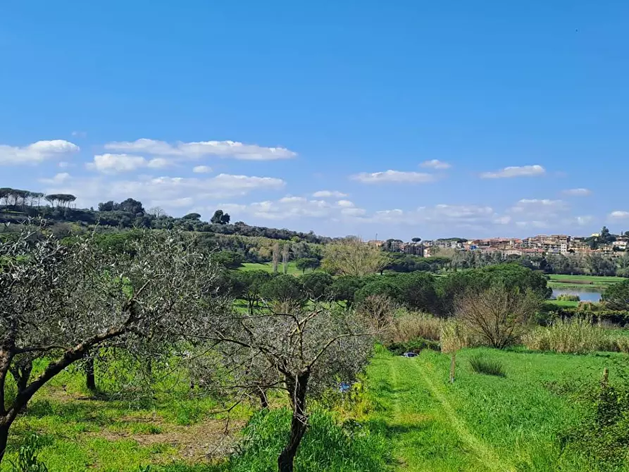 Immagine 29 di Terreno agricolo in vendita  in via del laghetto 1 a Castel Gandolfo
