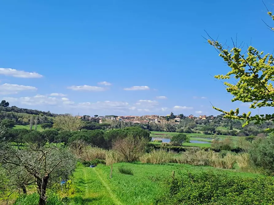 Immagine 30 di Terreno agricolo in vendita  in via del laghetto 1 a Castel Gandolfo