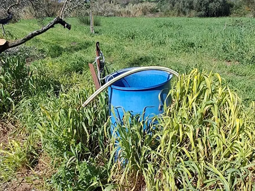 Immagine 31 di Terreno agricolo in vendita  in via del laghetto 1 a Castel Gandolfo