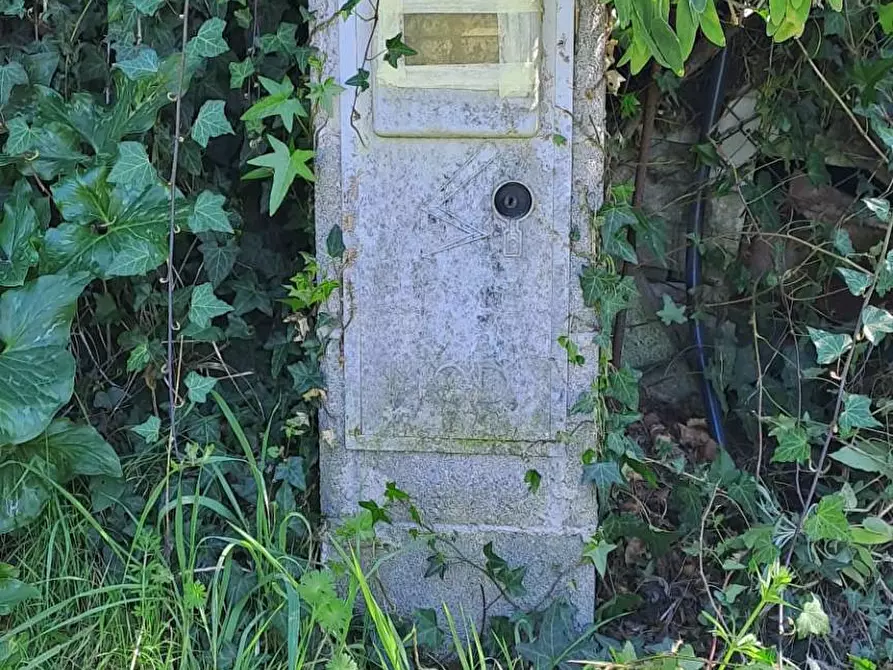 Immagine 32 di Terreno agricolo in vendita  in via del laghetto 1 a Castel Gandolfo