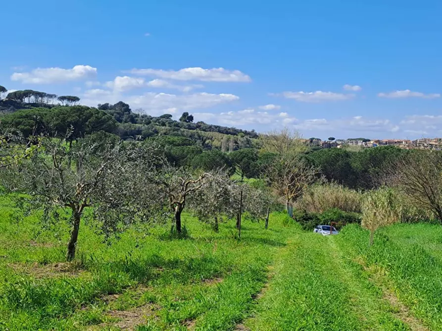 Immagine 33 di Terreno agricolo in vendita  in via del laghetto 1 a Castel Gandolfo