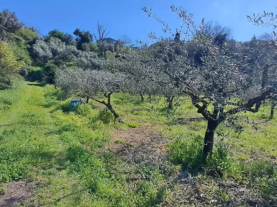 Immagine 35 di Terreno agricolo in vendita  in via del laghetto 1 a Castel Gandolfo