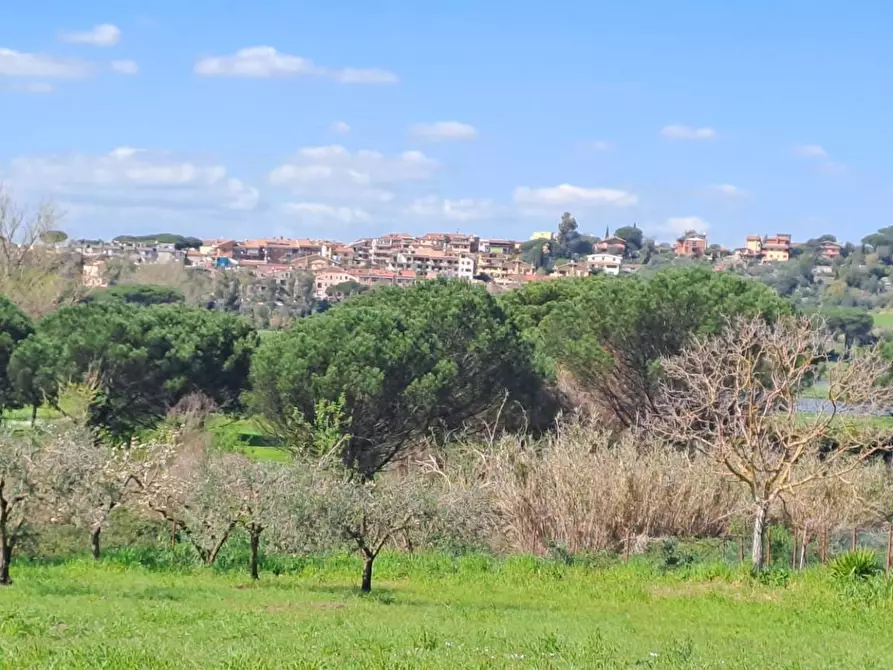 Immagine 37 di Terreno agricolo in vendita  in via del laghetto 1 a Castel Gandolfo