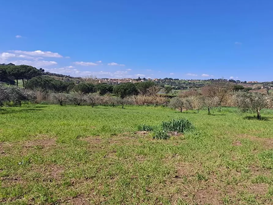 Immagine 38 di Terreno agricolo in vendita  in via del laghetto 1 a Castel Gandolfo
