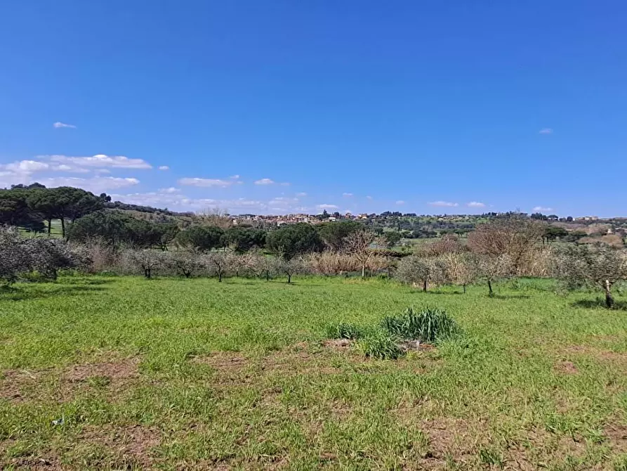 Immagine 40 di Terreno agricolo in vendita  in via del laghetto 1 a Castel Gandolfo
