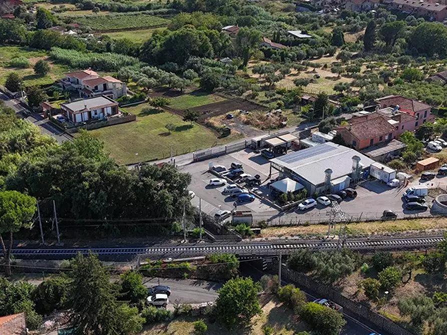 Immagine 5 di Villa in vendita  in via ginestreto 25 a Ariccia