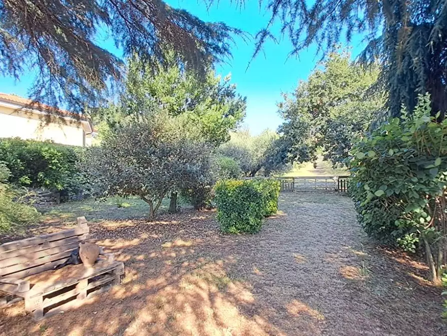 Immagine 17 di Villa in vendita  in via ginestreto 25 a Ariccia