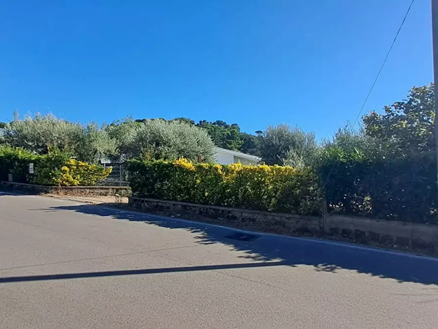 Immagine 2 di Terreno agricolo in vendita  in VIA MASTRO DI CASA 49/B a Albano Laziale