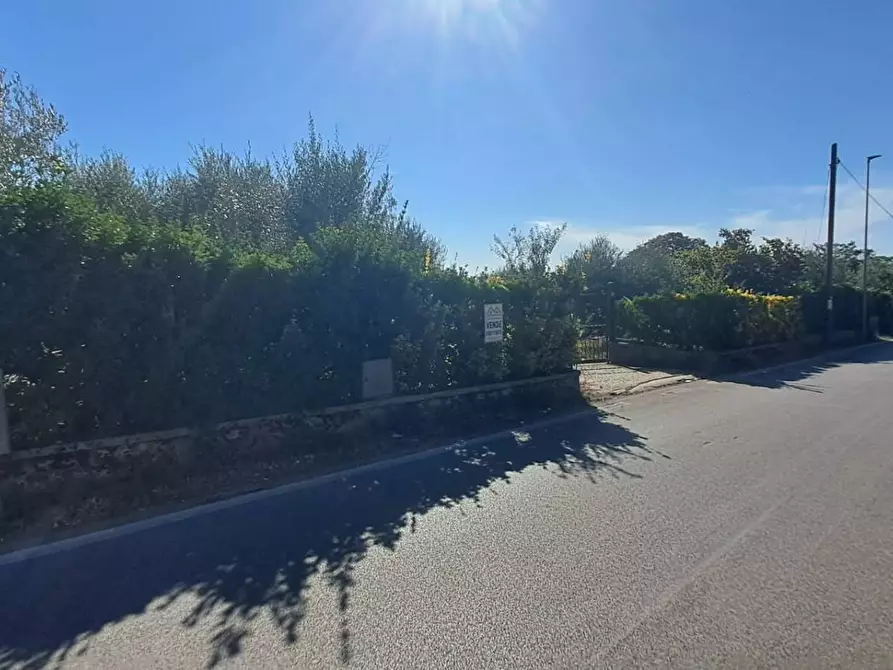 Immagine 3 di Terreno agricolo in vendita  in VIA MASTRO DI CASA 49/B a Albano Laziale