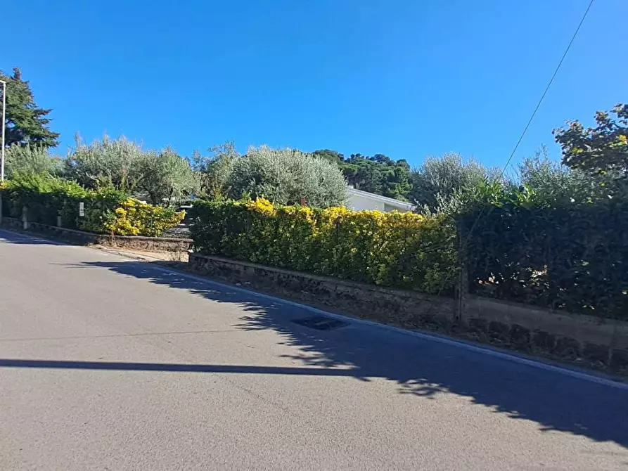 Immagine 4 di Terreno agricolo in vendita  in VIA MASTRO DI CASA 49/B a Albano Laziale