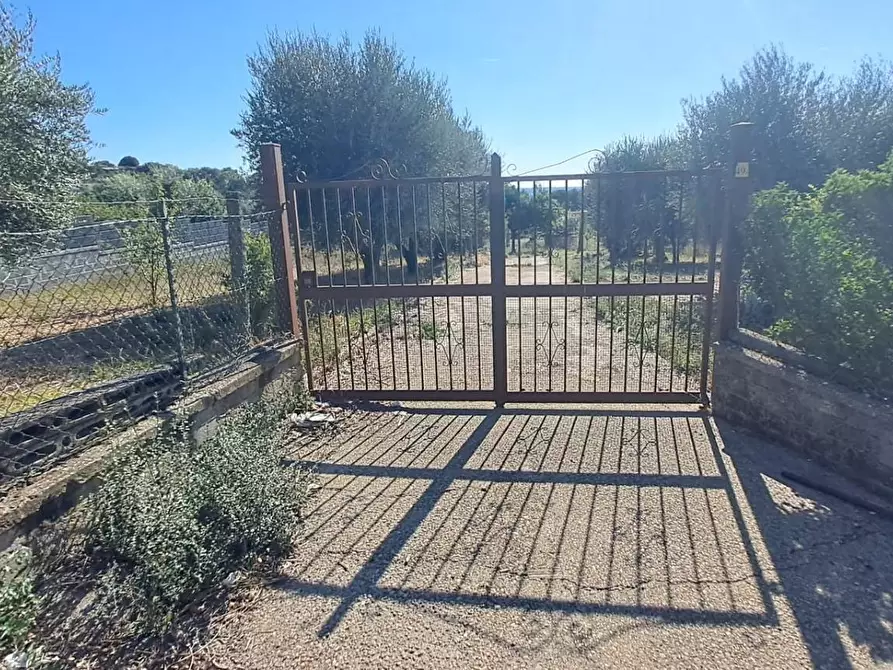 Immagine 5 di Terreno agricolo in vendita  in VIA MASTRO DI CASA 49/B a Albano Laziale