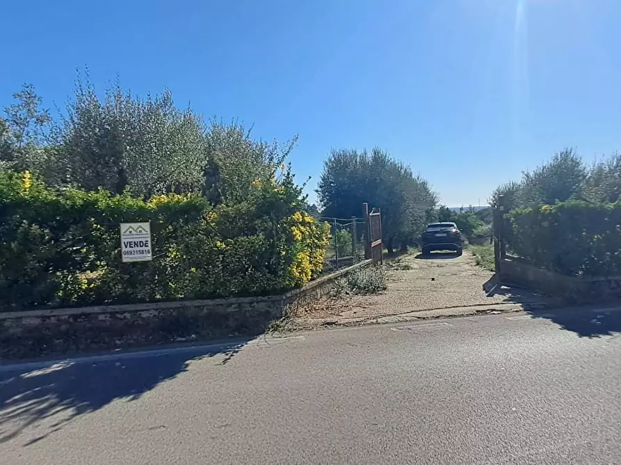 Immagine 6 di Terreno agricolo in vendita  in VIA MASTRO DI CASA 49/B a Albano Laziale