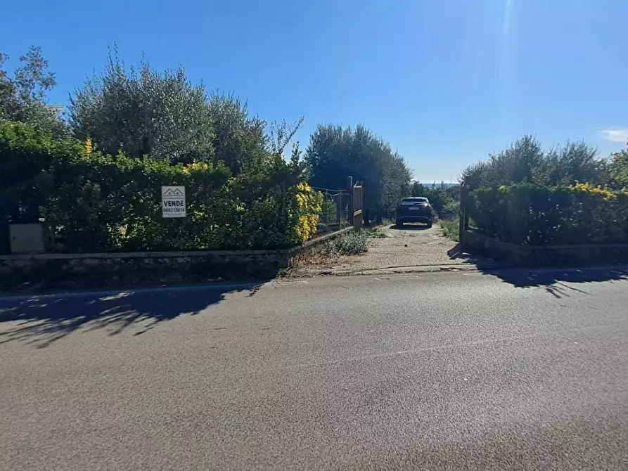 Immagine 7 di Terreno agricolo in vendita  in VIA MASTRO DI CASA 49/B a Albano Laziale