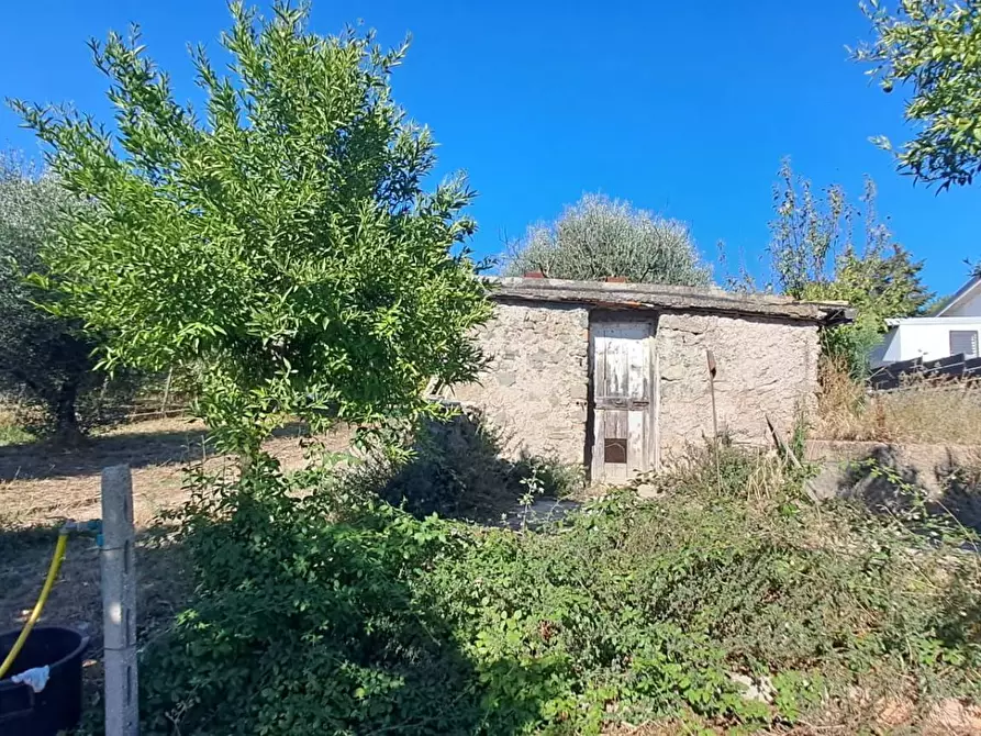 Immagine 8 di Terreno agricolo in vendita  in VIA MASTRO DI CASA 49/B a Albano Laziale