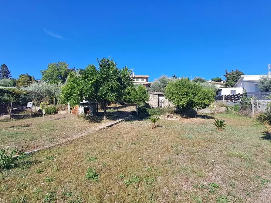 Immagine 10 di Terreno agricolo in vendita  in VIA MASTRO DI CASA 49/B a Albano Laziale