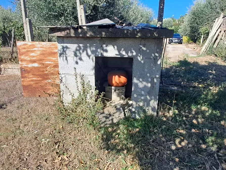 Immagine 11 di Terreno agricolo in vendita  in VIA MASTRO DI CASA 49/B a Albano Laziale