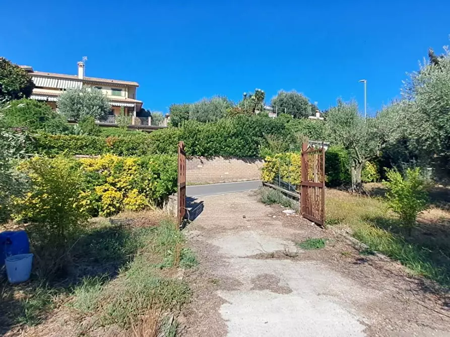 Immagine 12 di Terreno agricolo in vendita  in VIA MASTRO DI CASA 49/B a Albano Laziale