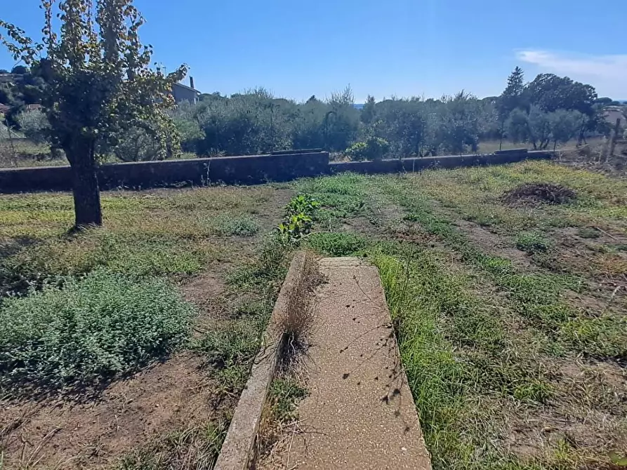 Immagine 14 di Terreno agricolo in vendita  in VIA MASTRO DI CASA 49/B a Albano Laziale