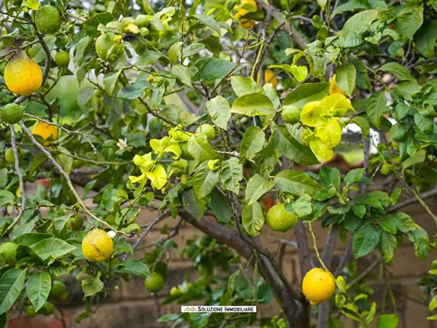 Immagine 17 di Villa in vendita  in via dante alighieri 6 a Anzio