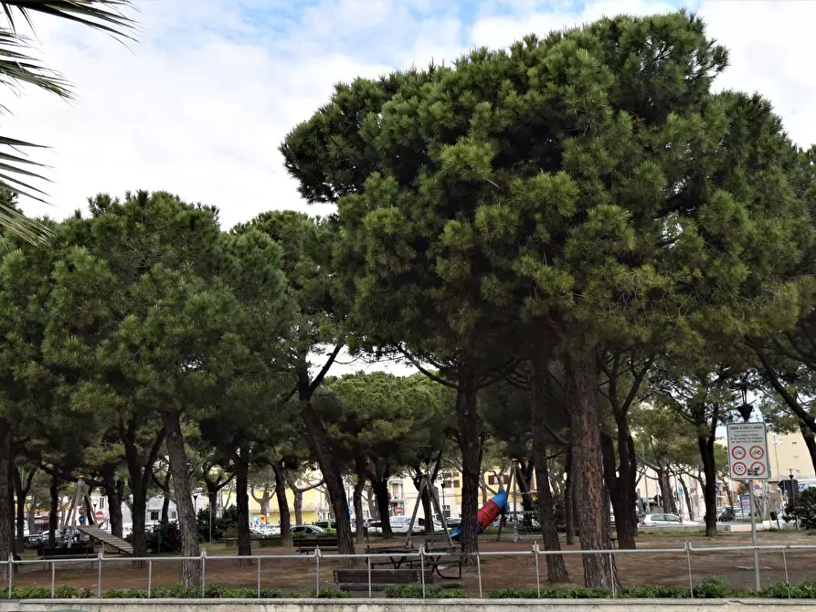 Immagine 2 di Locale commerciale in vendita  41 a Porto San Giorgio