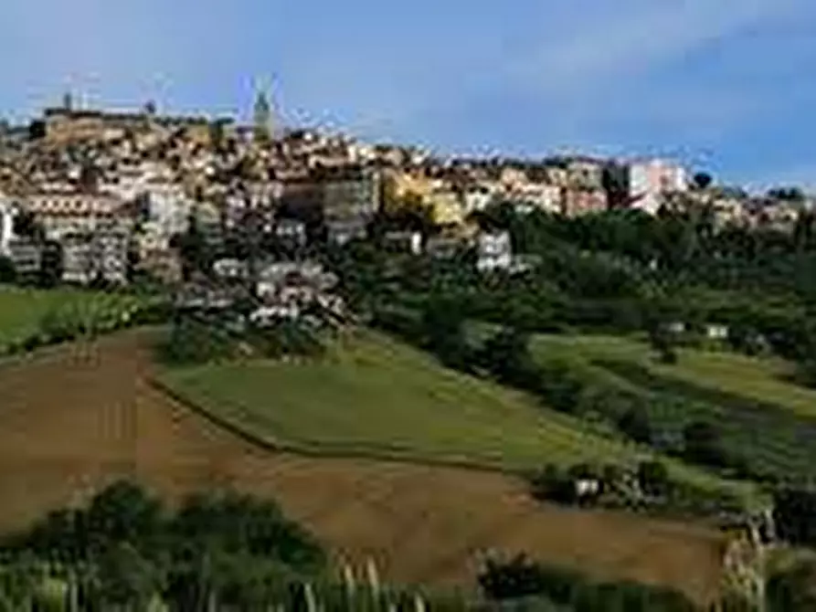 Immagine 4 di Terreno residenziale in vendita  a Montegranaro