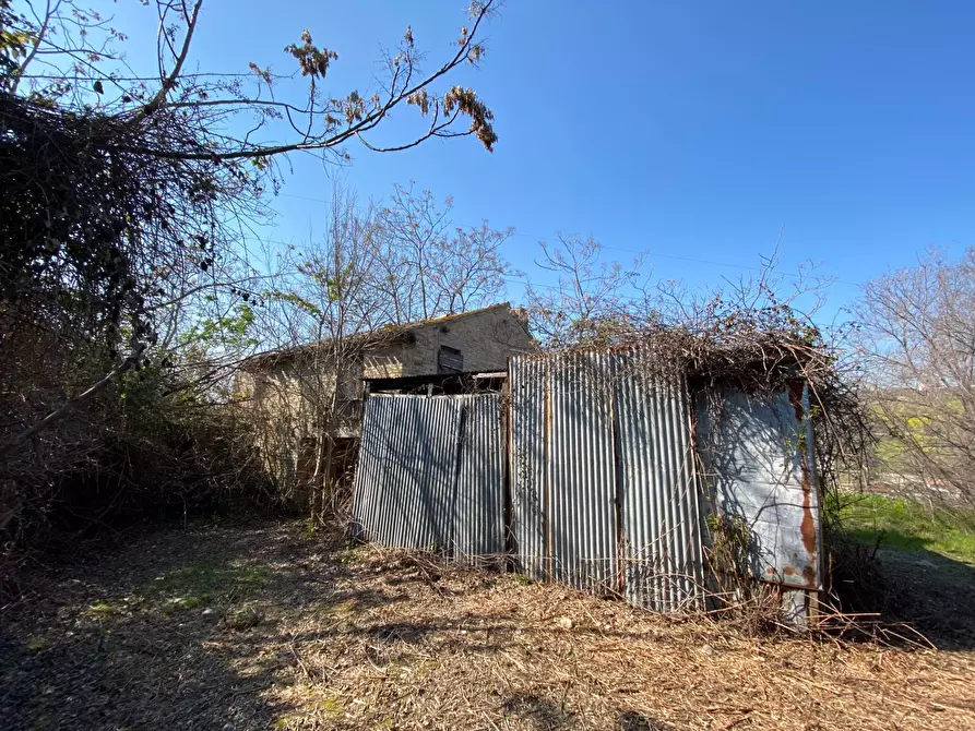 Immagine 6 di Rustico / casale in vendita  in Via Domenico Collina snc a Porto San Giorgio