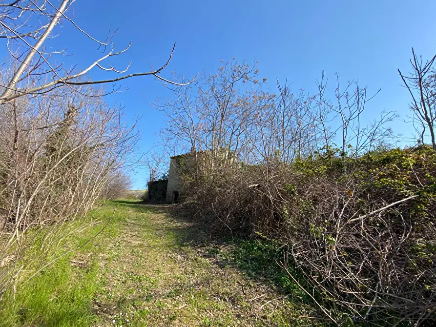 Immagine 9 di Rustico / casale in vendita  in Via Domenico Collina snc a Porto San Giorgio