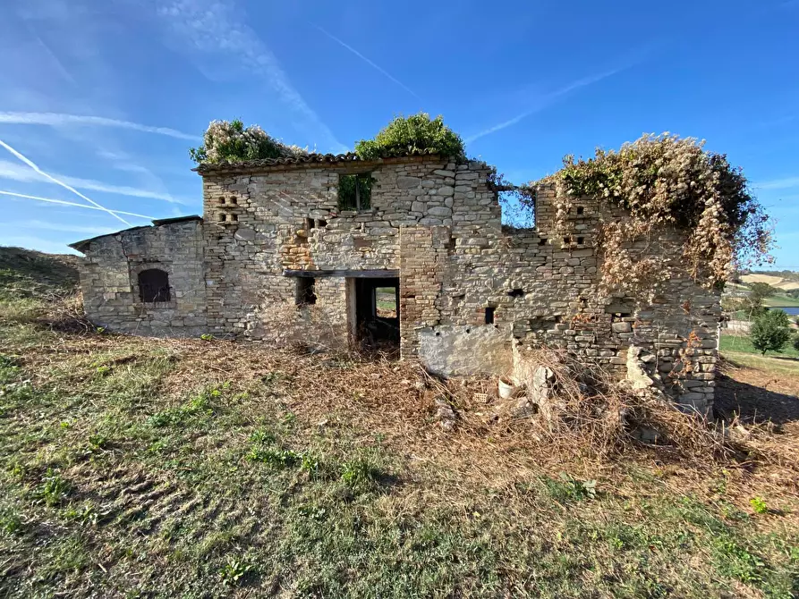 Immagine 1 di Rustico / casale in vendita  a Monte Rinaldo