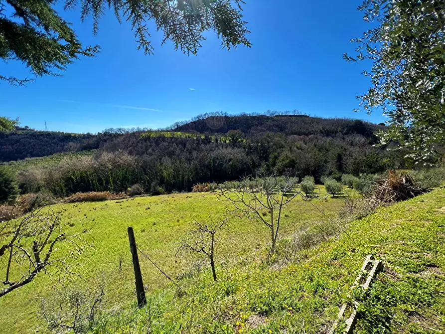 Immagine 6 di Casa indipendente in vendita  snc a Montefiore Dell'aso
