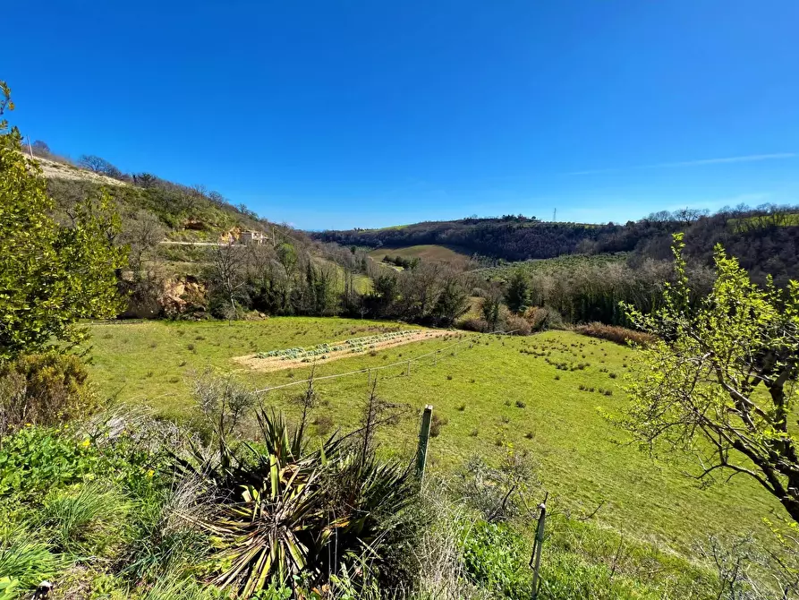Immagine 7 di Casa indipendente in vendita  snc a Montefiore Dell'aso