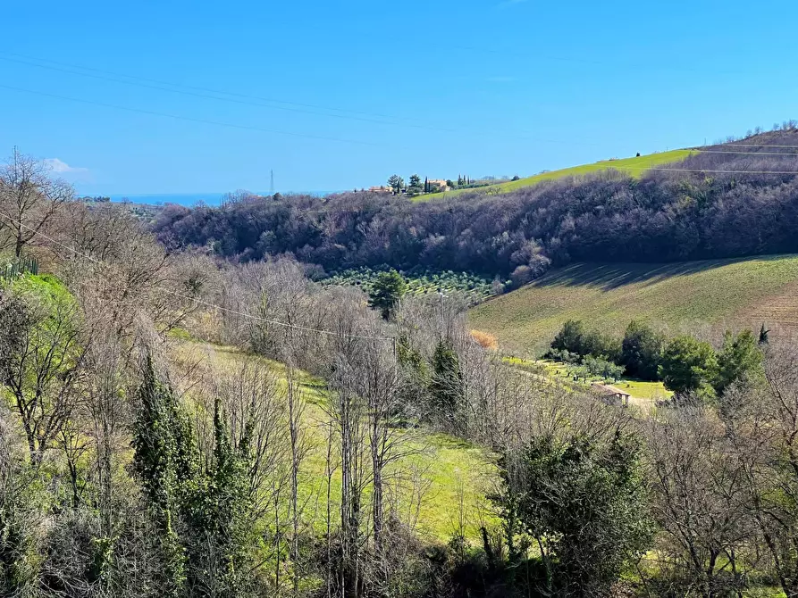Immagine 8 di Casa indipendente in vendita  snc a Montefiore Dell'aso