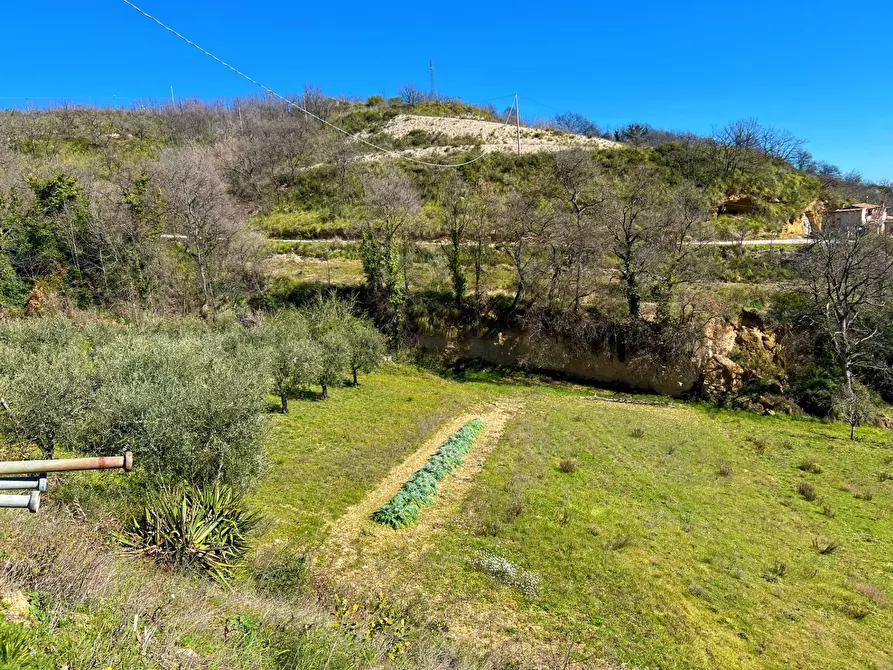 Immagine 9 di Casa indipendente in vendita  snc a Montefiore Dell'aso