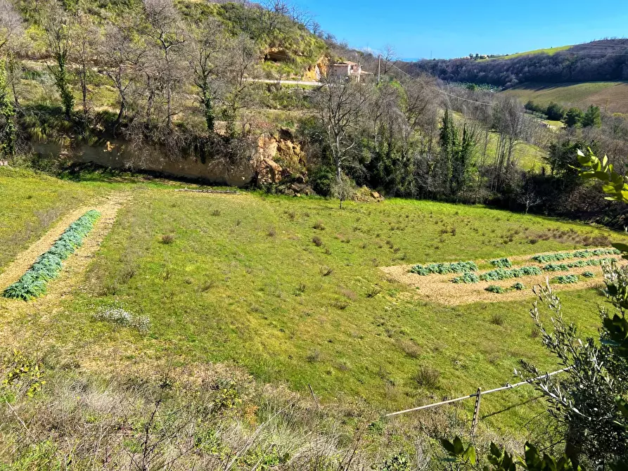 Immagine 10 di Casa indipendente in vendita  snc a Montefiore Dell'aso