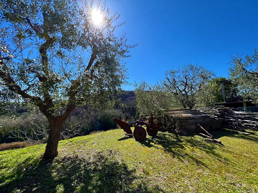 Immagine 11 di Casa indipendente in vendita  snc a Montefiore Dell'aso