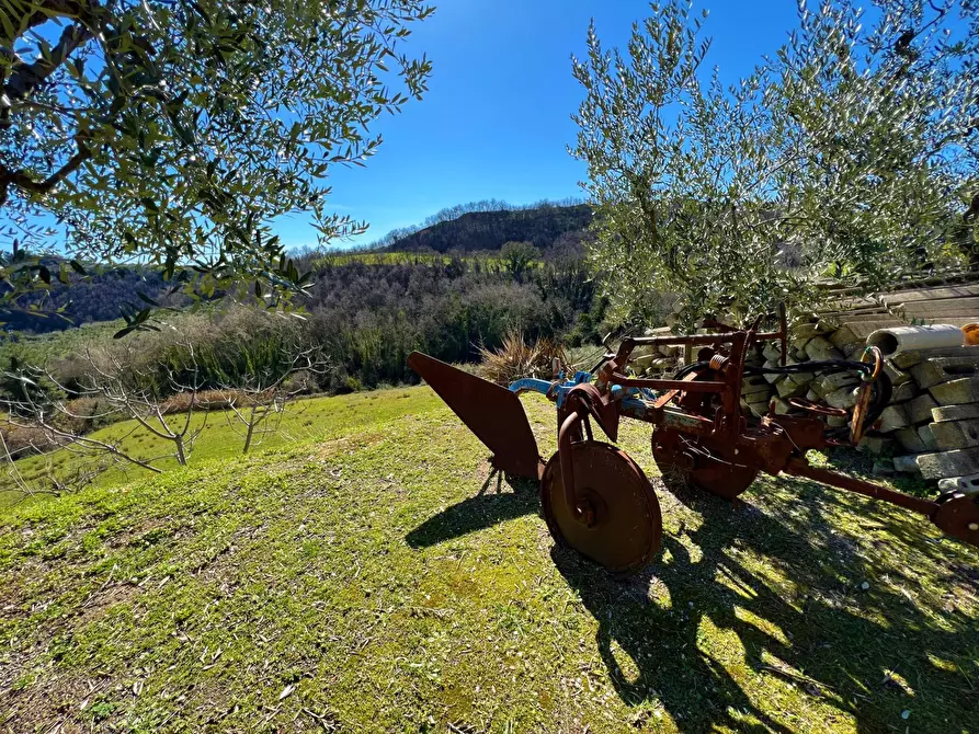 Immagine 12 di Casa indipendente in vendita  snc a Montefiore Dell'aso