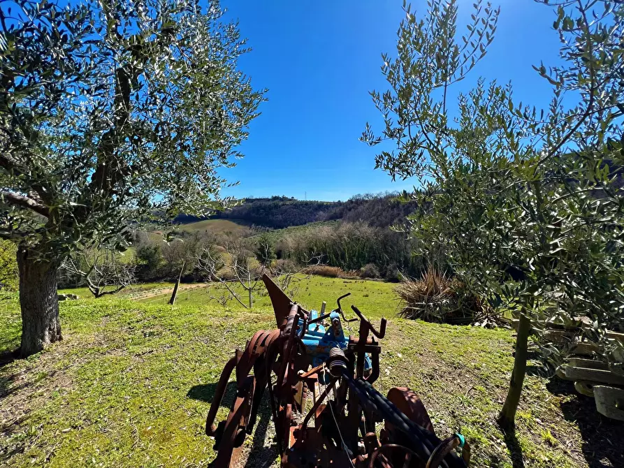 Immagine 13 di Casa indipendente in vendita  snc a Montefiore Dell'aso